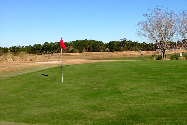 Course greens at hole 