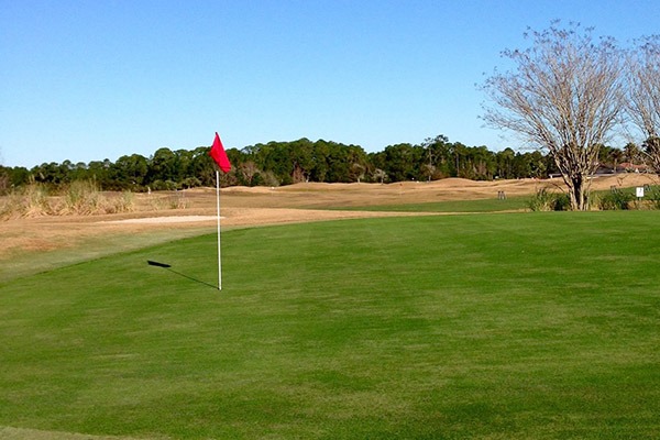 Course greens at hole